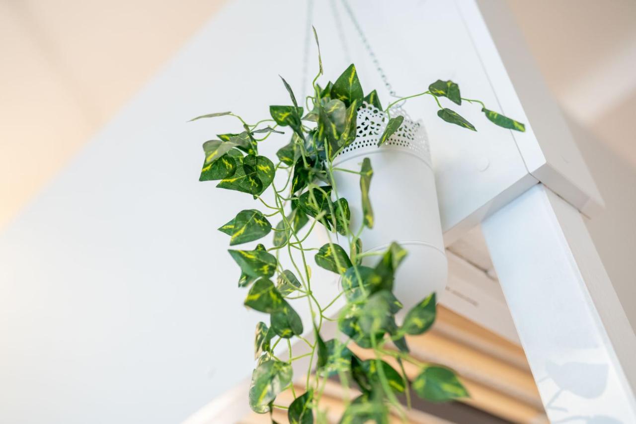 Cozy Modern Nest In The Heart Of Vienna With Netflix Appartement Buitenkant foto
